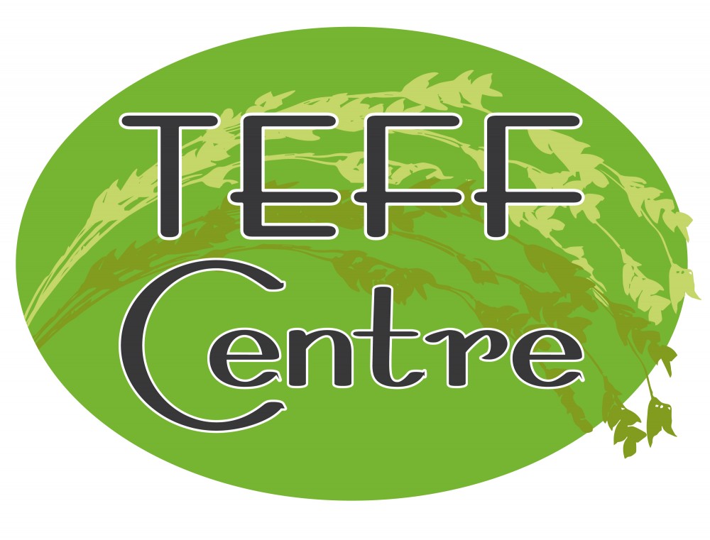 Logo Teffcentre