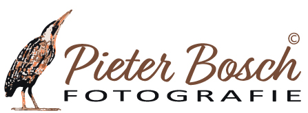 Logo Pieter Bosch Fotografie