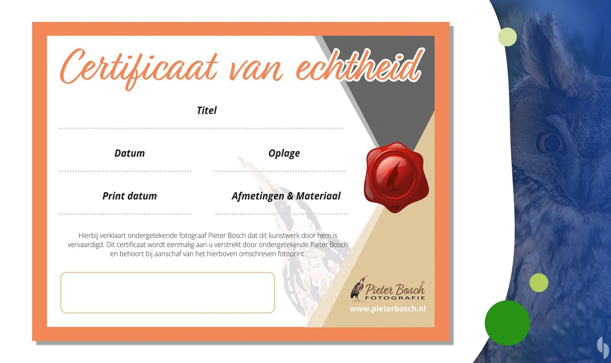 Certificaat van echtheid - Pieter Bosch